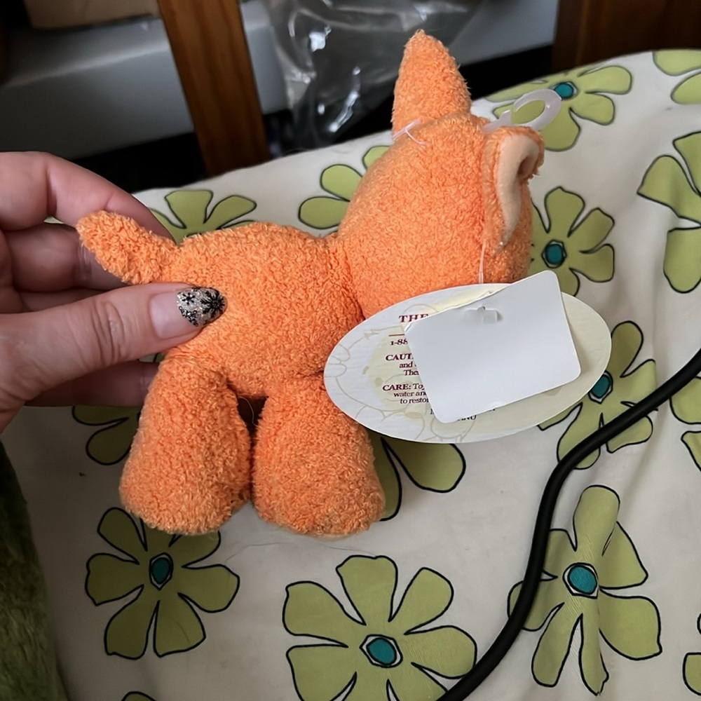 orange cat - Picture 2 of 4